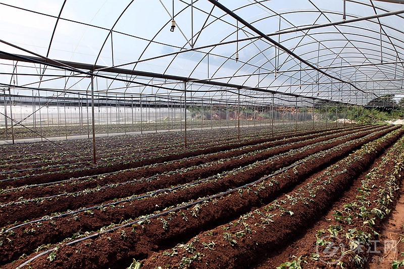 【环保世纪行】产业先行 项目推动 师宗冒水洞