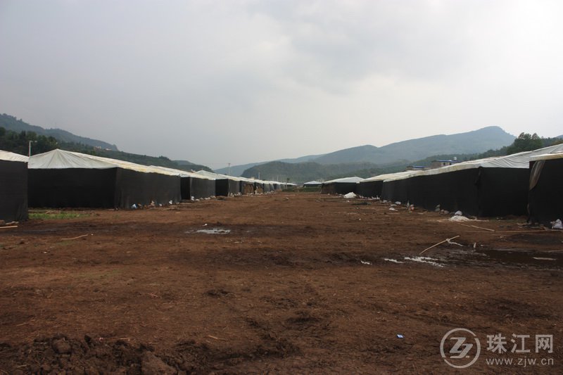 宣威市东山镇:大棚姬松茸初播种 铺就脱贫致富