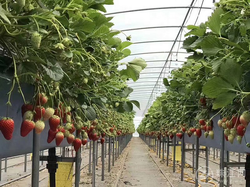 珠江网-中国曲靖.中国珠江源 - 曲靖珠江网是曲