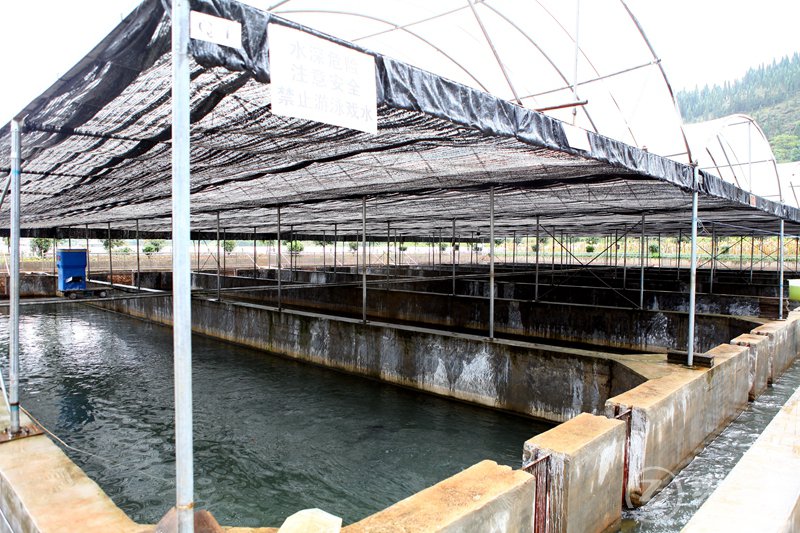 麒麟区茨营镇全国农村综合性改革试点掠影