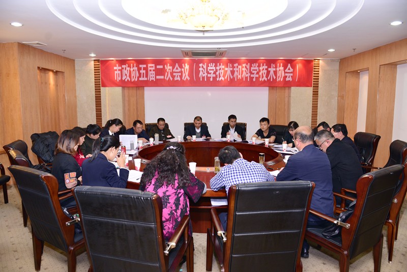 市政协委员分组讨论一府两院工作报告