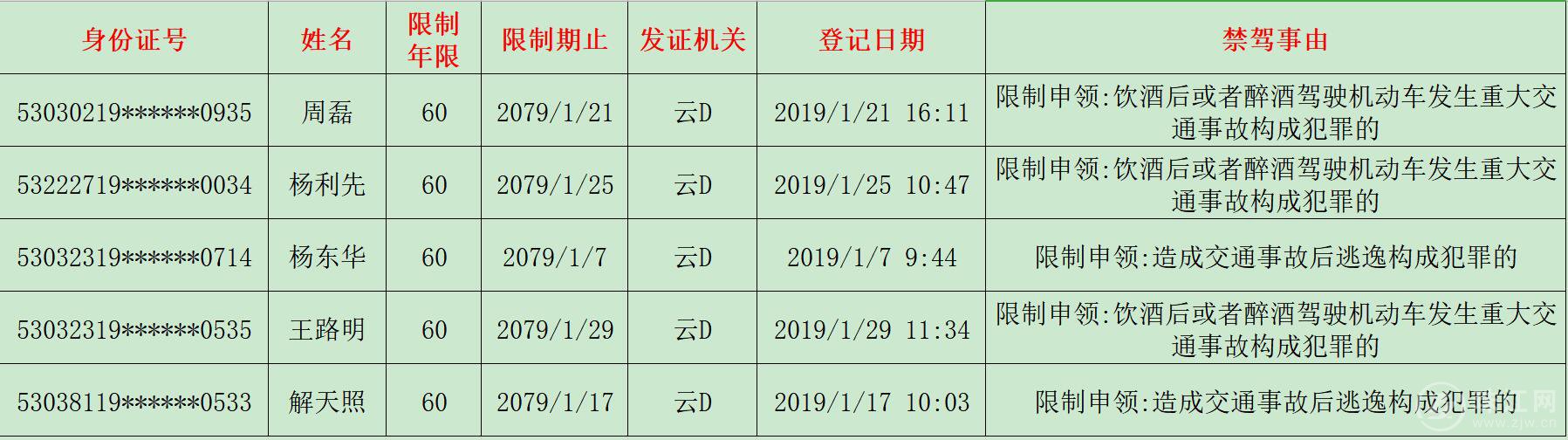 终身禁驾.jpg 终身禁驾.jpg