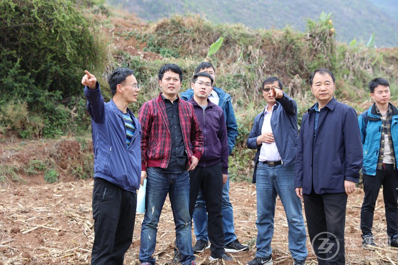 中国地质调查局岩溶地质研究所专家组到宣威市东山镇为缺水群众找水