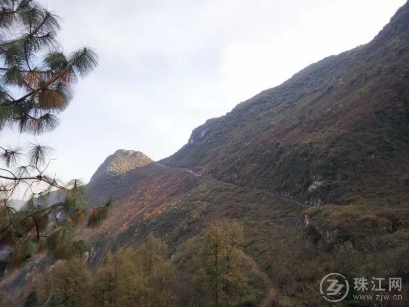 宣威市东山镇朝阳村:小蒜地一锅热气腾腾的洋芋,我们帮扶路上不停歇!