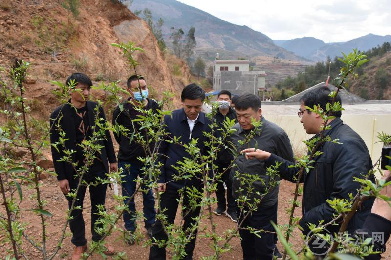 赵正富到会泽县鲁纳乡调研疫情防控,复工复产和脱贫攻坚工作